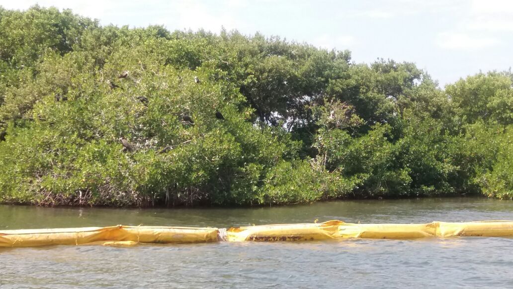 Refuge Cay garbage barriers