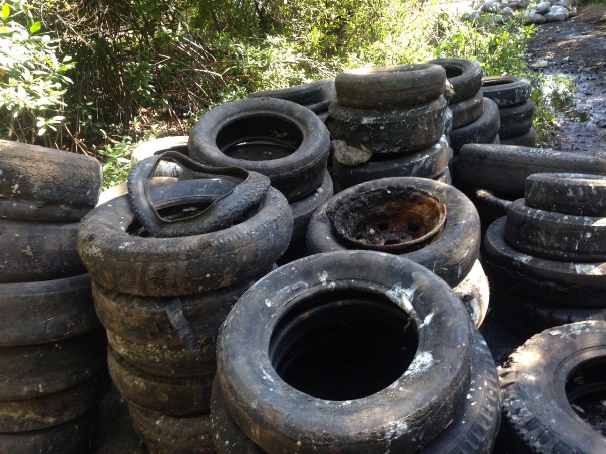 Refuge Cay tyres 2